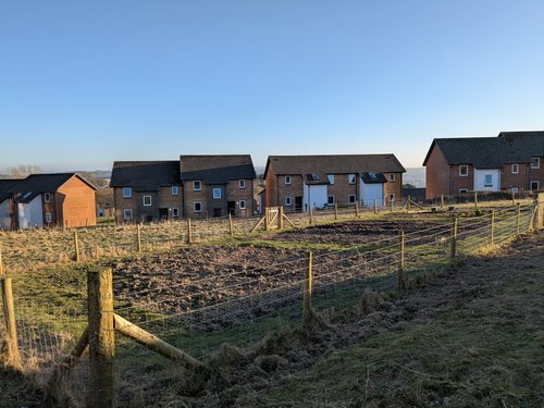 AberWW2 garden March 2025