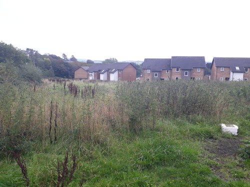 AberWW2 garden site Oct 2021