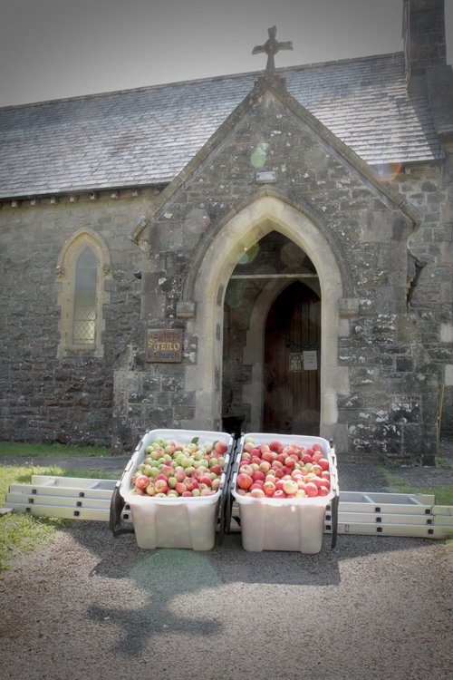 Brechfa apples 2