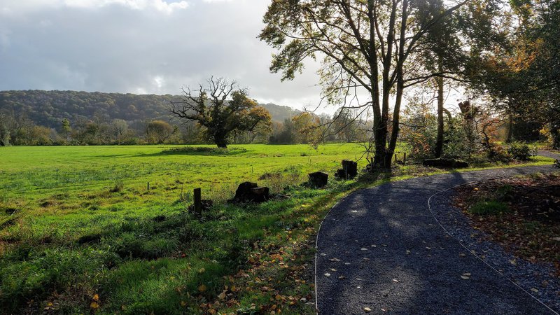 The Great Meadow at the Bishops Park Abergwili - [c] Carol Thomas