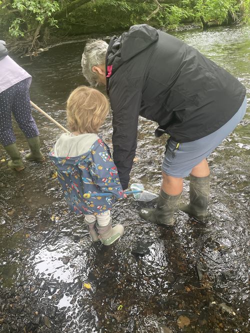 Dipping into Nature [River Cleddau]