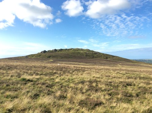Foel Drigarn [Waldo Williams 1]