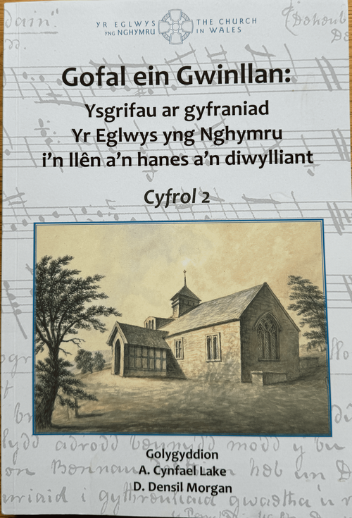 Gofal Ein Gwinllan 2 [cover]