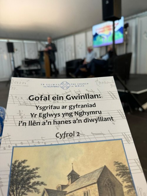 Gofal ein Gwinllan Vol 2