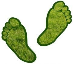 Green feet [2]