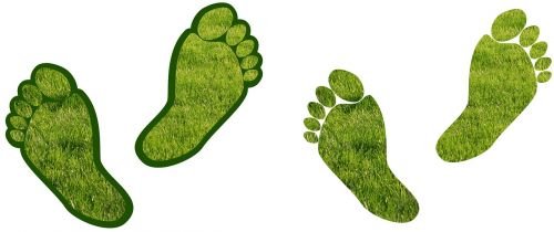Green feet Small.jpg