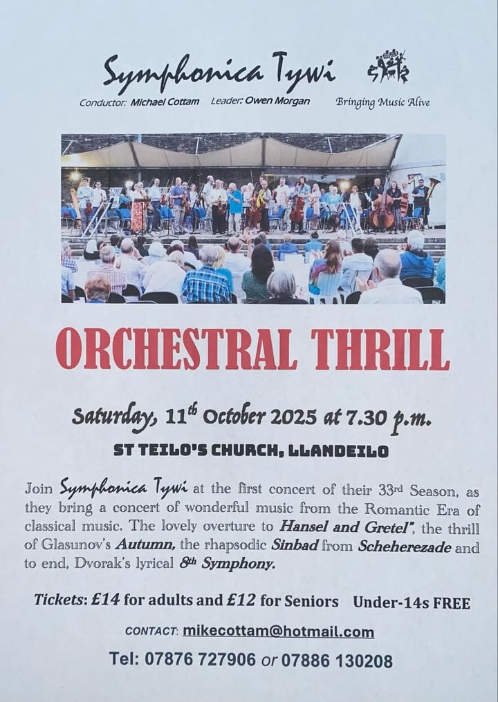 Llandeilo Event Poster 1025