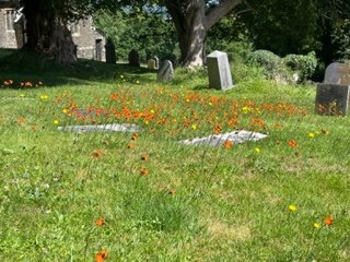 Llangunnor Churchyard 2