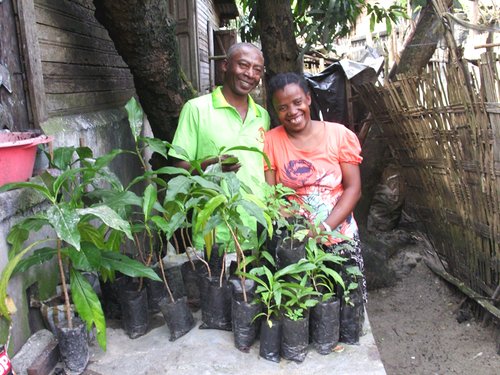 Madagascar - Plants in pots.