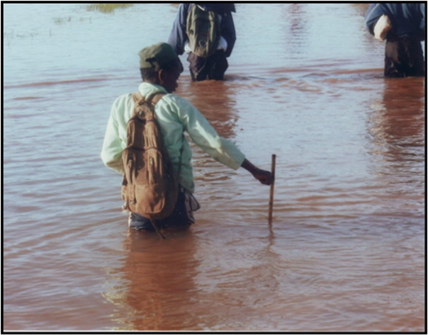 Madagascar Ambohidava