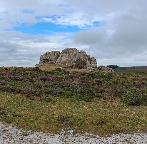 Open Spaces - Plumstone Creative Commons (Michele Large)