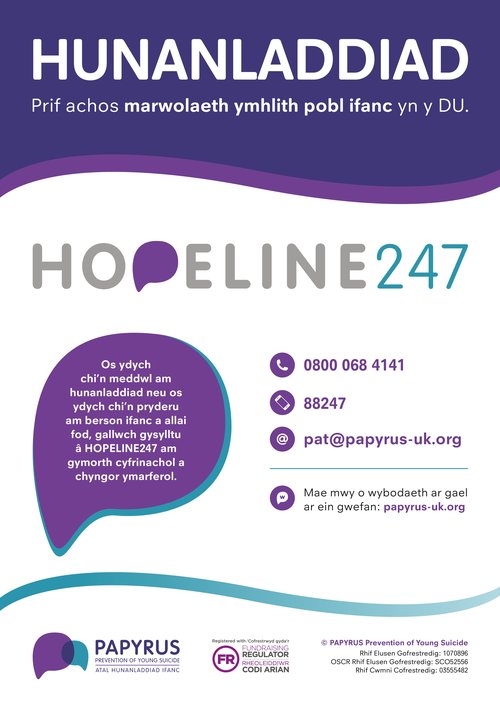 Papyrus Poster [Welsh]