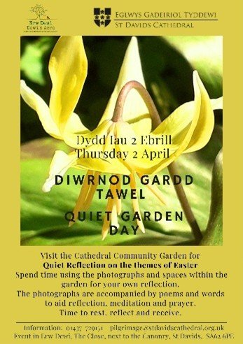 Picture - Easter Reflection