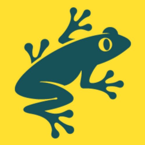 Rainforest Alliance Frog