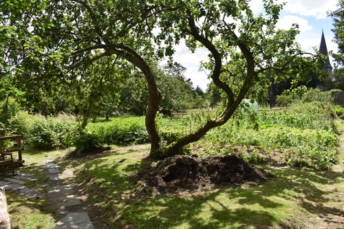 Bishop&#x27;s Park - Walled Garden