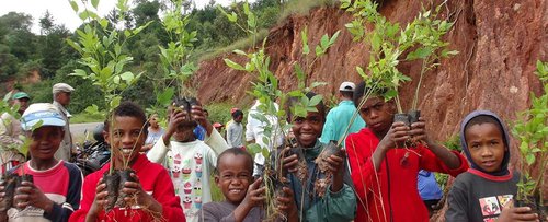 kids-plant-trees- Madagascar