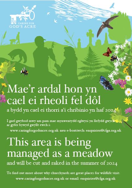 meadow-management-welsh-churchyard